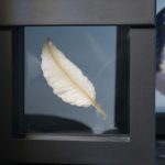 Muttermilchschmuck Glücksfeder mit Haarsträhne in Schweberahmen