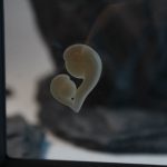Mama und Baby in Schweberahmen